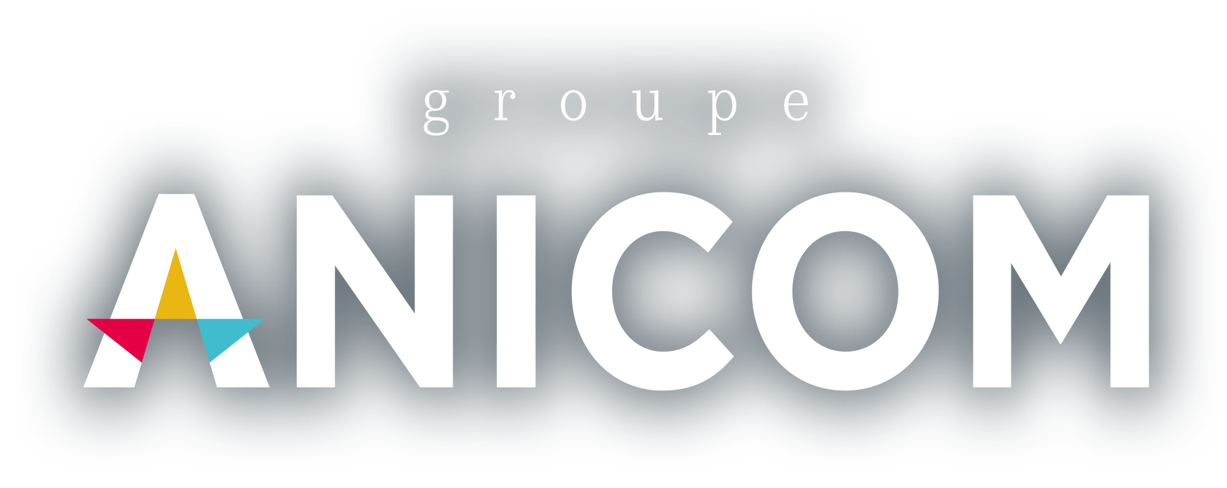 logo-blanc-goupe-anicom-agence-communication-labaule